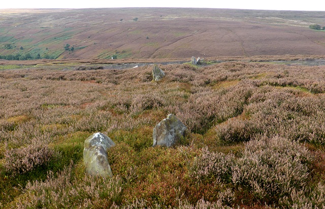Stone row at Crown End, Westerdale Moor